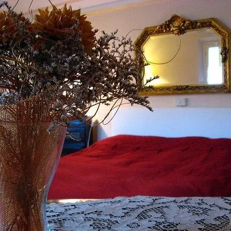 Andrea Da Carlo *